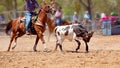 Team Calf Roping At Country Rodeo Royalty Free Stock Photo