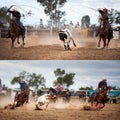 Team Calf Roping Rodeo Collage