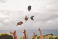 Team celebrate winning, game of baseball or trophy by throw gloves in air. Softball squad happy for victory in Royalty Free Stock Photo