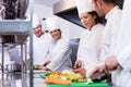 Team of chefs chopping vegetables Royalty Free Stock Photo