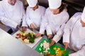 Team of chefs chopping vegetables Royalty Free Stock Photo