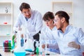 The team of chemists working in the lab Royalty Free Stock Photo