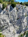 Team of climbers reaching the rock Royalty Free Stock Photo
