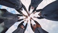 Team of college or university students celebrating graduation. Group of happy successful graduates in academic hats and