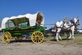 Muleskinner in a covered wagon pulled by a team of mules