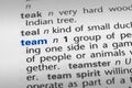Team definition Royalty Free Stock Photo