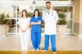 Team of doctors in a hospital entrance