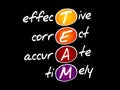 TEAM - Effective, Correct, Accurate, Timely Royalty Free Stock Photo