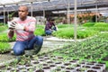 Team of farmers work in greenhouse - cultivating for plants