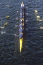 Team of Female Rowers,