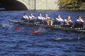 Team of Female Rowers