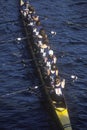 Team of Female Rowers