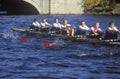 Team of Female Rowers, Cambridge, Massachusetts