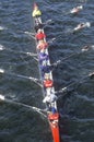 Team of Female Rowers, Cambridge, Massachusetts