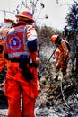 Team fighting forest fire