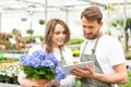 Team of florist working together at the plants nursery Royalty Free Stock Photo