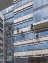 A team of four climbers washes the windows and walls of a multi-story office building