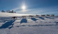 A team of four husky sled dogs running on a snowy wilderness road. Royalty Free Stock Photo