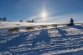 A team of four husky sled dogs running on a snowy wilderness road.