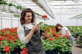 Team of happy gardeners busily working, arranging, sorting colorful flowers, vegetation and plants in a sunny industrial