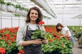 Team of happy gardeners busily working, arranging, sorting colorful flowers, vegetation and plants in a sunny industrial