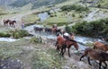 A team of horses, led by their local Inca guide, navigate the Andes mountains Royalty Free Stock Photo