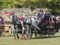 Team of 2 horses Marathon event Royalty Free Stock Photo