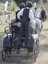 Team of 2 horses Marathon event Royalty Free Stock Photo