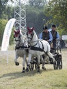 Team of 2 horses Marathon event Royalty Free Stock Photo