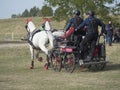 Team of 2 horses Marathon event Royalty Free Stock Photo