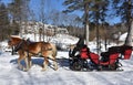 Team of Horses Pulling a Sleigh in the Snow Royalty Free Stock Photo