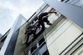 Team of industrial climbers at work, they are washing building f Royalty Free Stock Photo