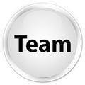 Team premium white round button Royalty Free Stock Photo
