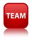 Team special red square button Royalty Free Stock Photo