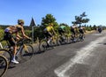 Team Jumbo-Visma - Le Tour de France 2022 Royalty Free Stock Photo