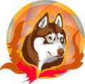 Logo of a fiery wolf or husky dog against the flames
