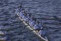 Team of Male Rowers, Royalty Free Stock Photo