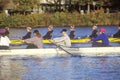 Team of Male Rowers Royalty Free Stock Photo