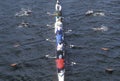 Team of Male Rowers Royalty Free Stock Photo