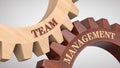 Team management concept