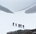 Team of mountaineers walking on snowy path. Royalty Free Stock Photo