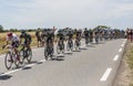 Team Movistar in the Peloton - Tour de France 2017 Royalty Free Stock Photo