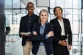 The team with a passion to perform. Portrait of a group of businesspeople working together in a modern office. Royalty Free Stock Photo