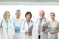 Team portrait of medical professionals Royalty Free Stock Photo