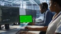 Team of programmer using green screen tablet, working in server farm Royalty Free Stock Photo