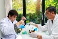 Team of researcher or scientists working in laboratory Royalty Free Stock Photo