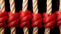 Team ropes unify diverse strengths for effective teamwork and partnership concept Royalty Free Stock Photo