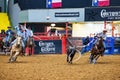 Team roping competition in the Stockyards Championship Rodeo Royalty Free Stock Photo