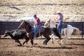 Team Roping Competition Royalty Free Stock Photo