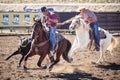 Team Roping Competition Royalty Free Stock Photo